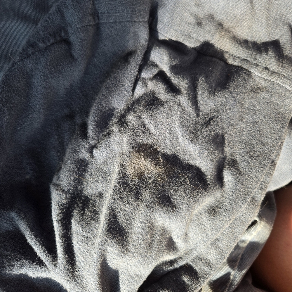 Jack BB Dakota Jacket - Rare Bella Swan Twilight Jacket Size Medium - Picture 11 of 16